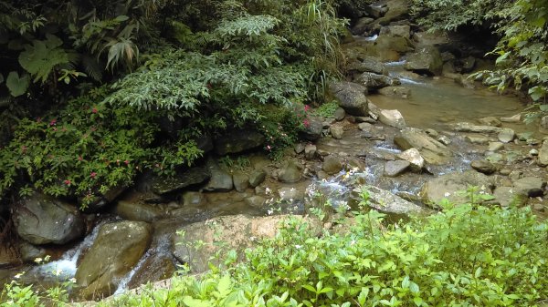滑瀑岩洞、溪水清澈的基隆暖東峽谷步道974277