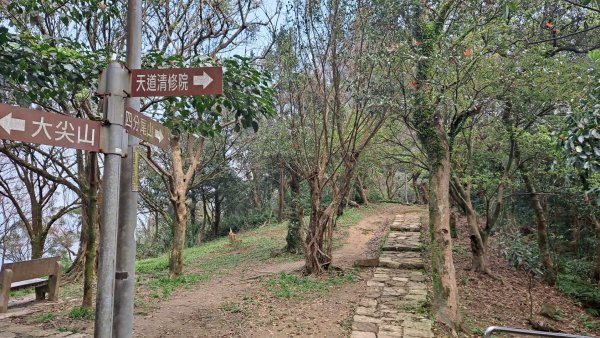 20240308汐止大尖山步道-四分尾山-耳空龜山2448636