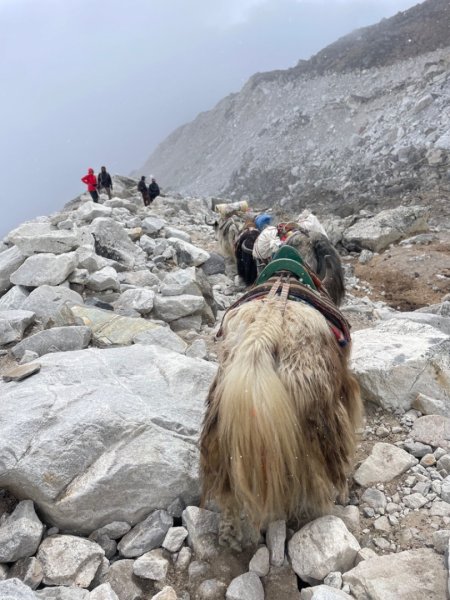 尼泊爾聖母峰EBC基地營❤️風景篇2791045