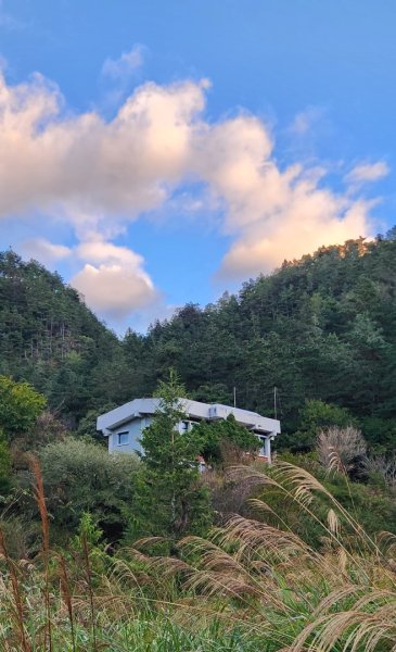 【中級山縱走】羅馬縱走，走進神木的夢幻童話森林世界2943164