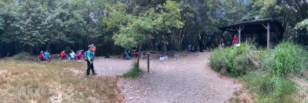 【谷關七雄】八仙山主峰步道2894879