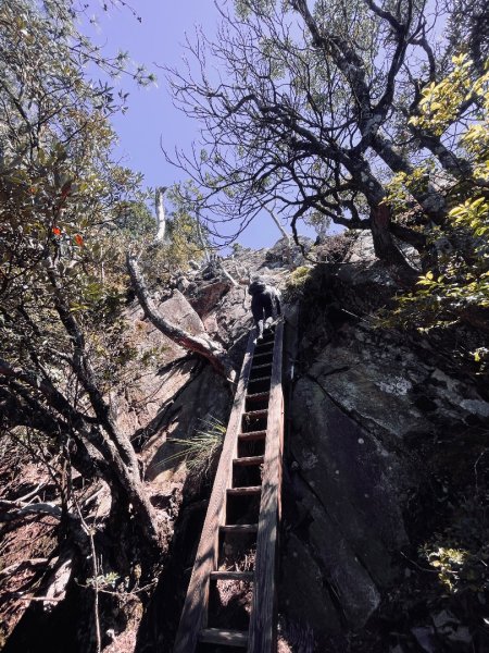 鳶嘴山 2025 09/212892207