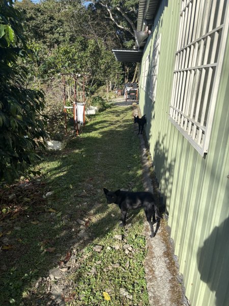 20251207藤枝山步道2957631