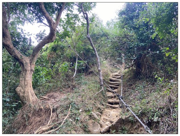 旗靈縱走(旗尾山、福美山、金字面山、人頭山、靈山)2996450