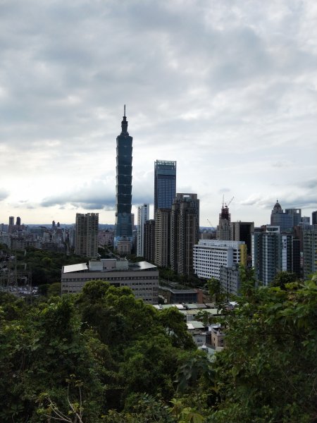 南港山縱走親山步道(拇指山、南港山、象山、九五峰)1820192