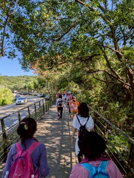 🌈11/8（六）桃園神社+虎頭山風景區尋找10連峰✨FB：熊熊趴爬走🌈2932438