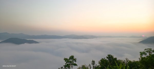 #坪林 #火燒雲 #日出 #雲海 #觀音圈 #金山 #花鳥蝶 6/3&4&163068879