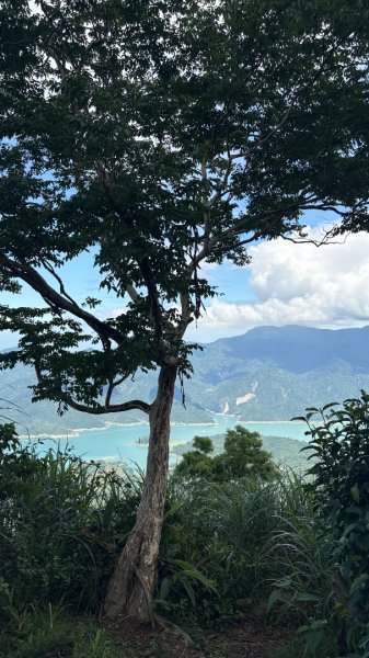 三腳南山2799601