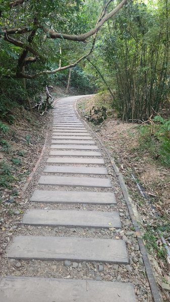 2026-0118新竹新埔文山步道2984644