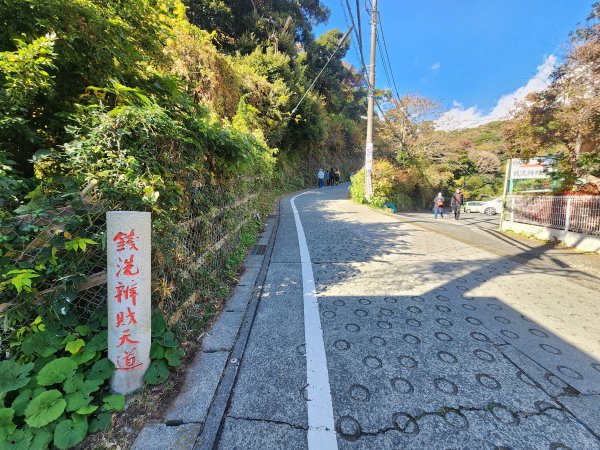 20251128橫須賀軍港遊船+鎌倉大佛步道2962725