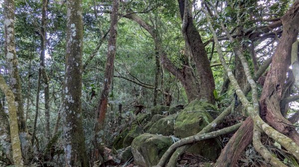 九份二山步道2861230