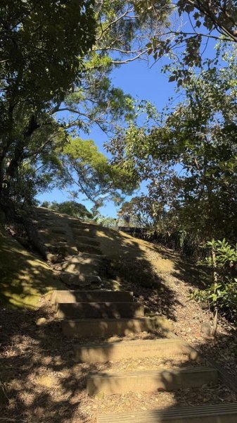 20251123鶯歌石步道2973984