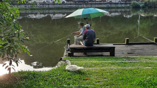《台北》城市晨運｜南港公園後山埤公園O繞202505232795837