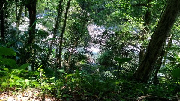 登山戲水於大羅蘭溪古圳步道(福山馬岸)172765