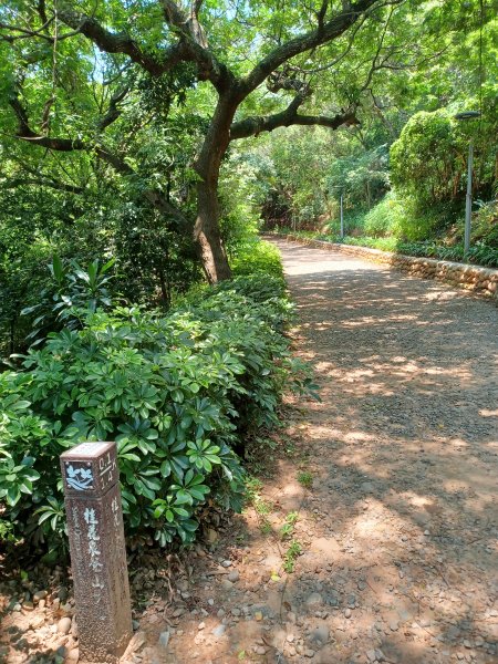 【台中大甲】規劃完善的親民步道。 桂花泉登山步道2862460