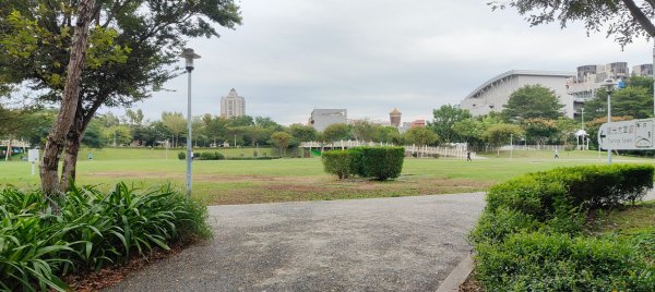 桃園老街溪2928641