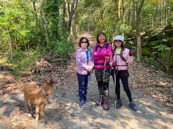 高雄美濃月光山2734958