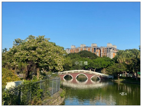 台中公園基石 (砲台山三角原點)2673277