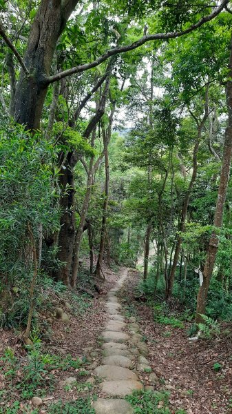 《苗栗》挑炭古道｜三通嶺探長潭坑山大坑尾山二連峰O繞202204171678492