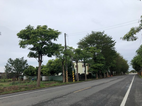 台南市六甲、官田、麻豆、將軍土地調查局圖根點。六甲、番子田、寮子廓、新豹尾（末尋得）、過港子1634811