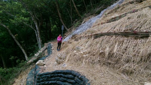 107.04.21 天德巷 → 拉卡山 → 三峽滿月圓 O型317874