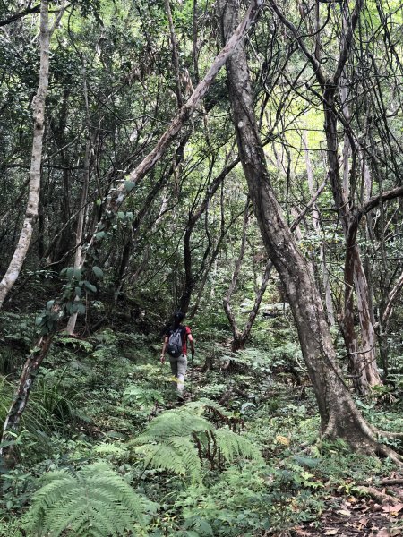 阿美族聖山｜八里灣山1137646