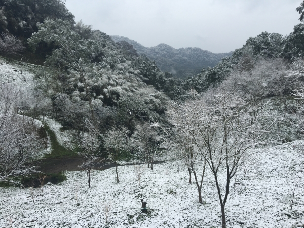 羅馬公路銀白雪景29728