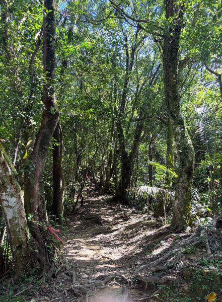 五分山系-望古瀑布段2896297