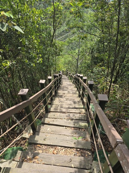 20260516 小百岳-南投後尖山3056226
