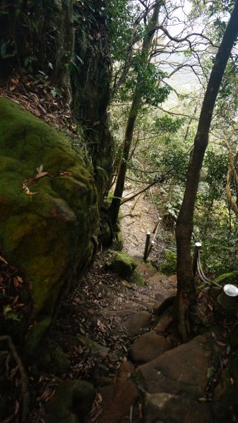 三峽(長壽山)→土城(天上山) 縱走1233131