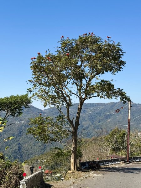 20250216瑞峰瑞里健行2730540