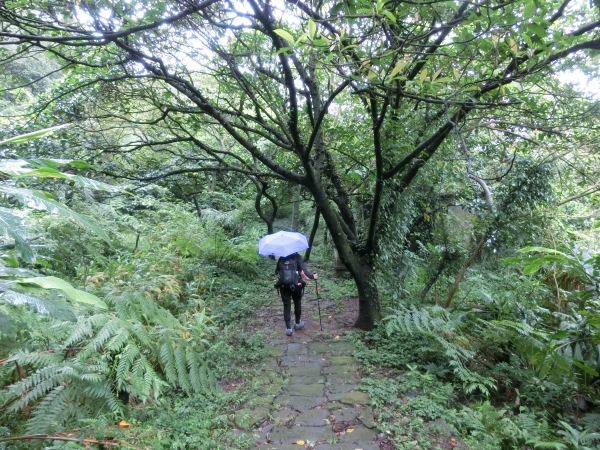 魚路古道（天籟八煙段）．八煙聚落95187