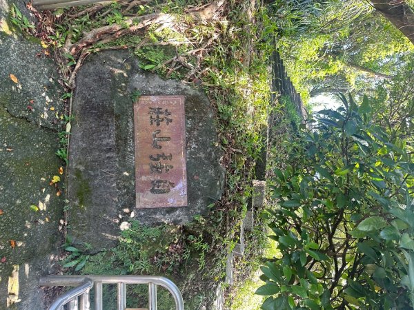 鵝公髻山/十八尖山/紅淡山/大尖山3120517