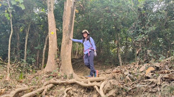 旗靈縱走11501172983337