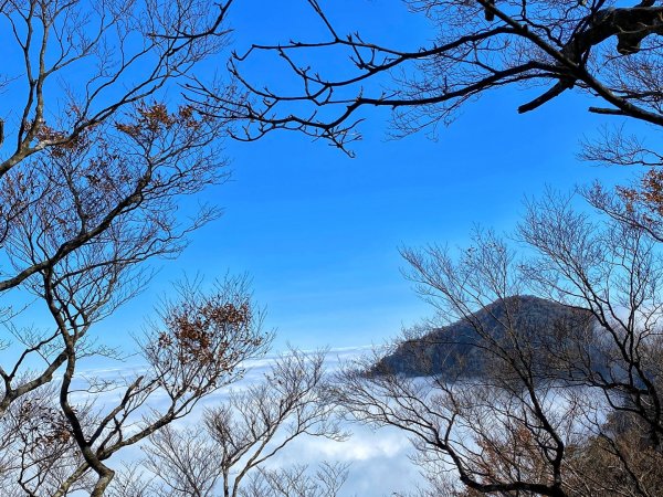 漫步在雲端台灣山毛櫸步道736560