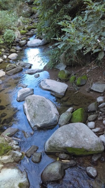 【臺北大縱走7】貓空壺穴、優美的茶香步道804935