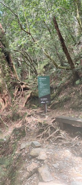 拉拉山國家森林遊樂區2752237