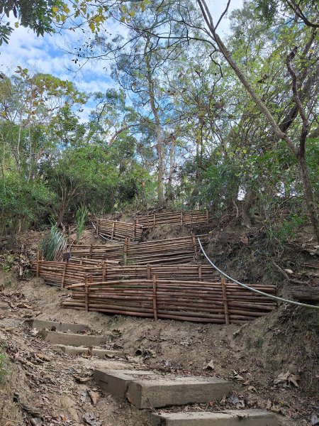 南化鈺鼎步道上糖子恩山+北峰202503152736899