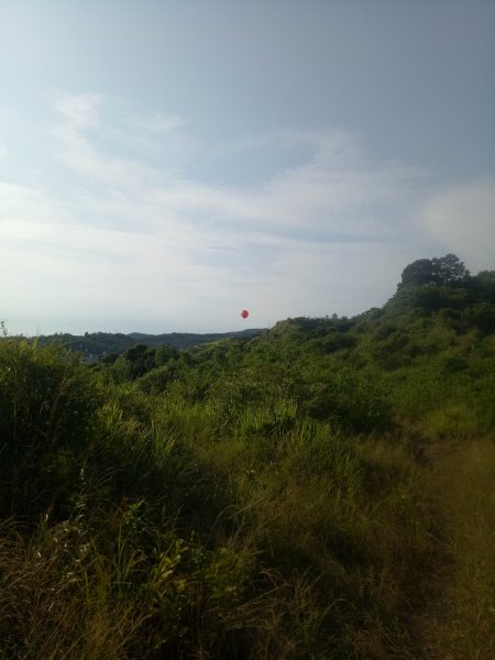 大肚知高圳步道上學田山+沙田山+大肚山1899088