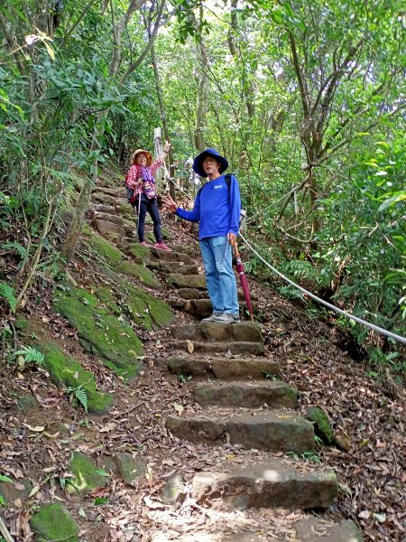 【小百岳集起來】土城天上山1380865