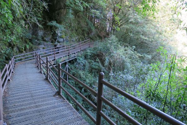 特富野古道234870