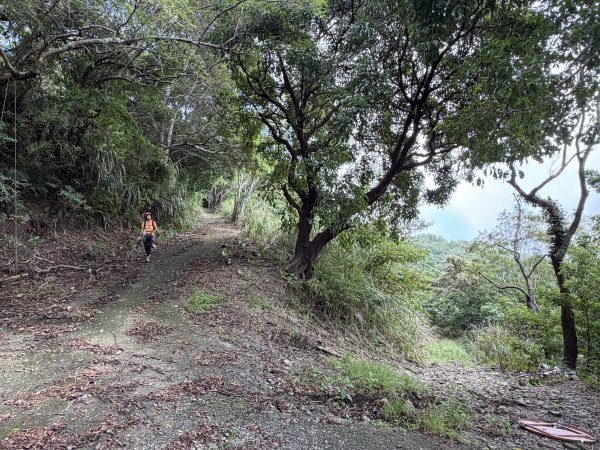 加奈美山 (開車富南上至2K水泥路尾起登)202609063118764