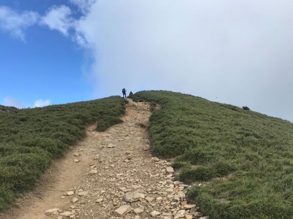 高山上的草原359345