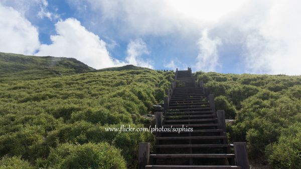 20180703合歡東峰376207