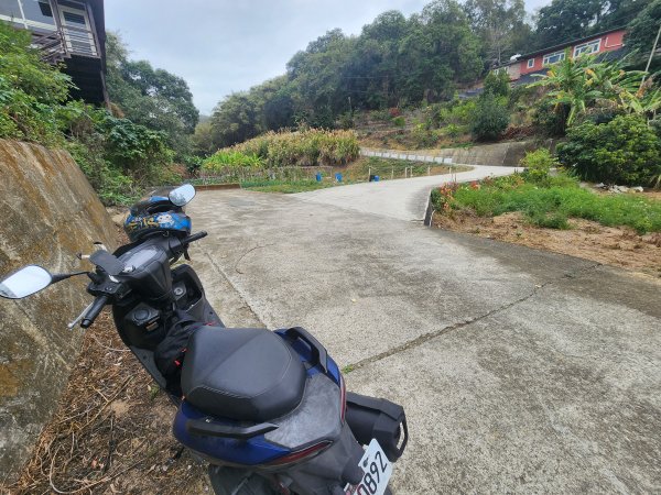 20260224雞隆山、八角林山、上果作園山3023637