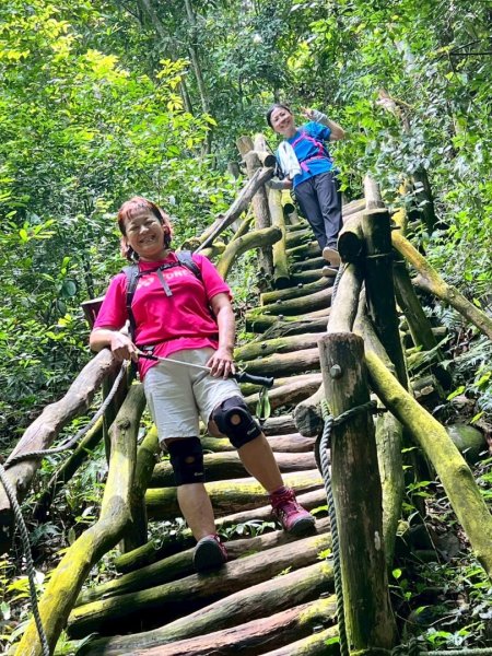 大坑1號和2號步道2826401