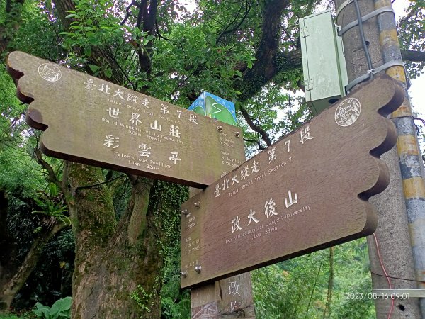 【臺北大縱走 7】樟山寺→樟樹步道→指南宮貓空親山步道→茶展中心步道→大成殿步道→指南宮竹柏參道2255466