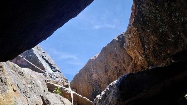 燦光寮山、黃金三稜141648