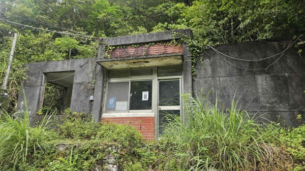 20260428大刀山-拉樸山-阿玉溪山3044994