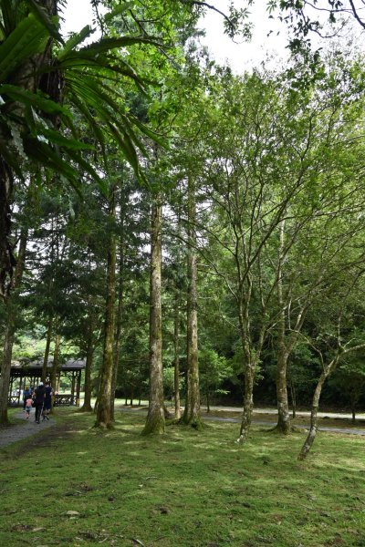 2025_0712 福山植物園2836142
